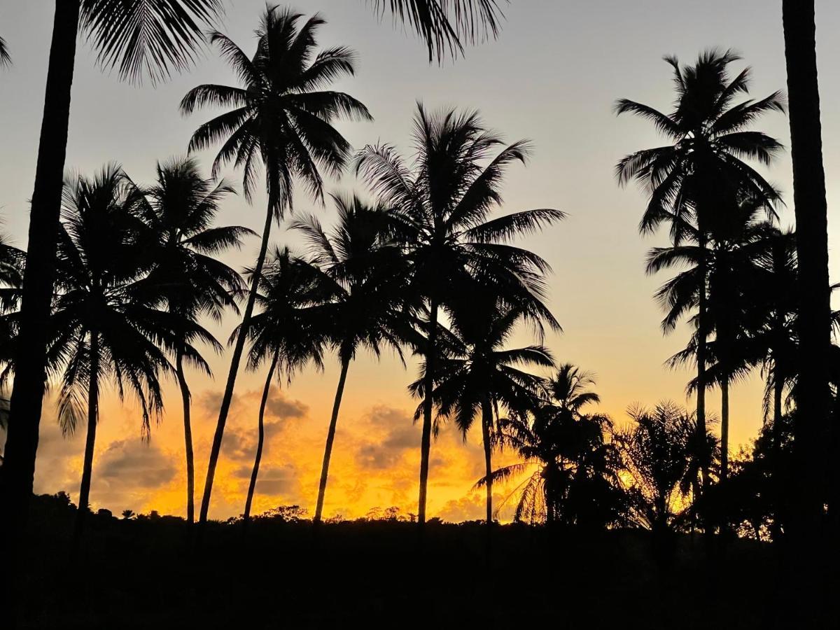 Pousada Horizonte Azul Velha Boipeba Екстериор снимка